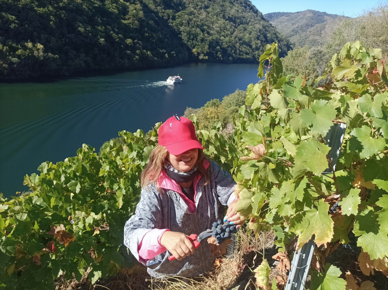 ENOTURISMO GALICIA
