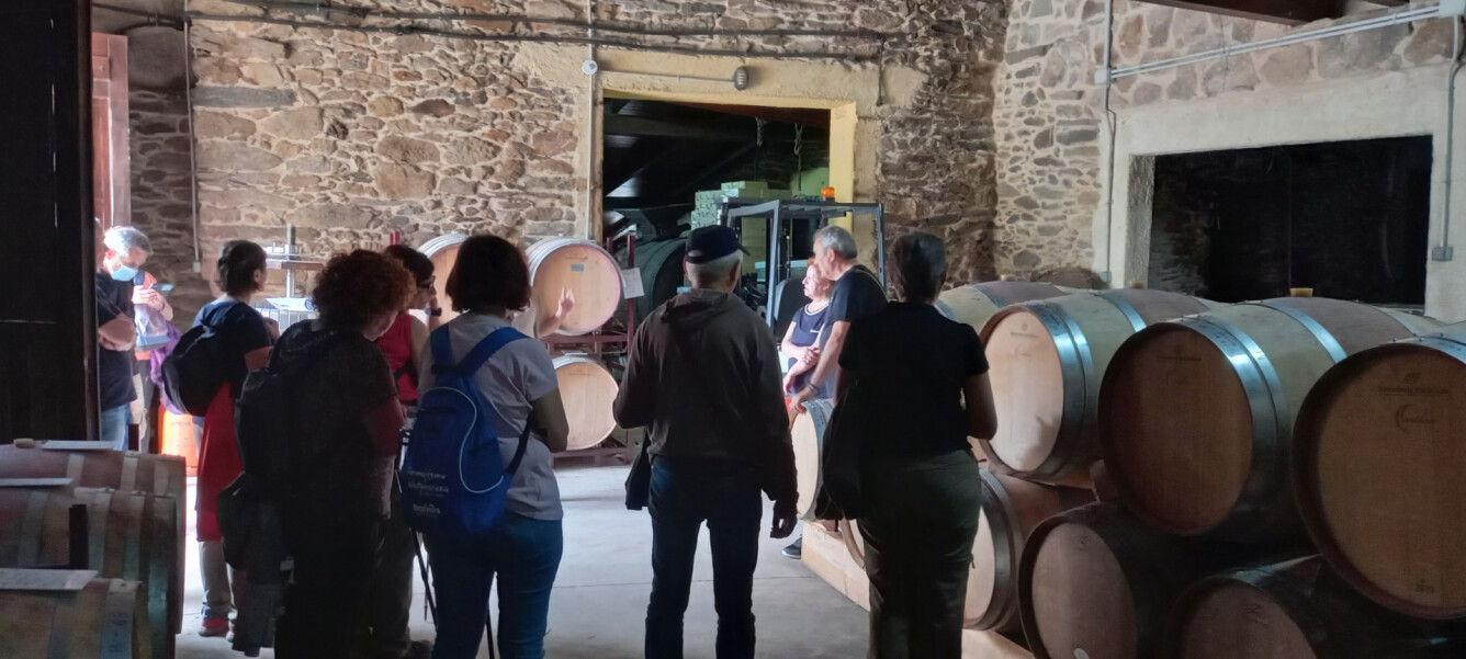VISITA A LA BODEGA