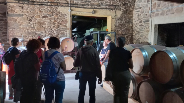 VISITA A LA BODEGA