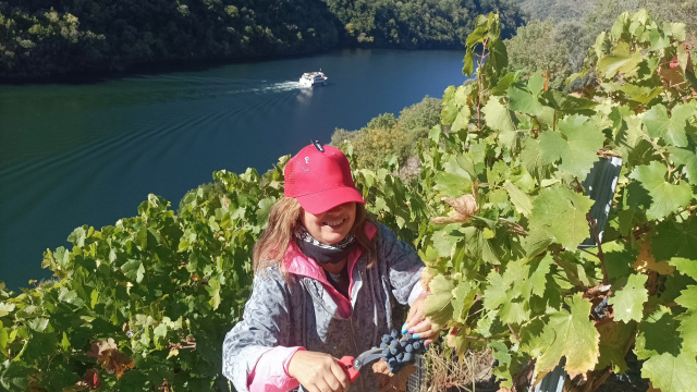 TALLERES DE VITICULTURA