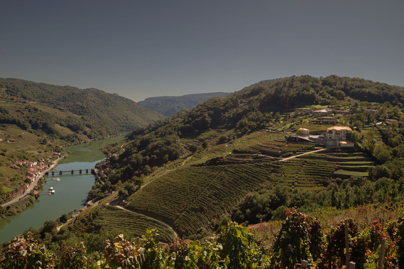 VISITA VIA ROMANA PREMIUM