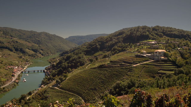 VISITA VIA ROMANA PREMIUM