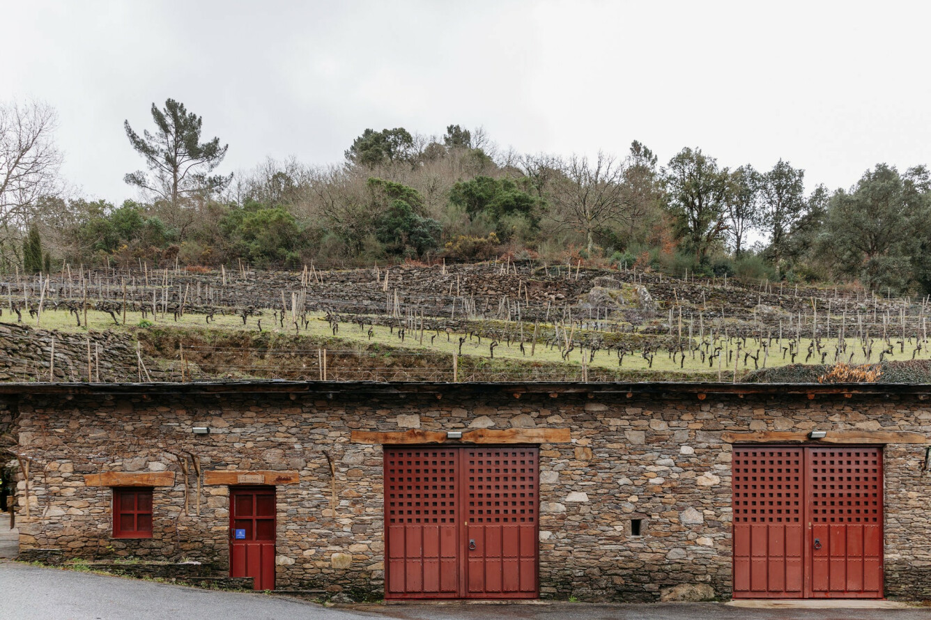 FINCA MÍLLARA BODEGAS Y VIÑEDOS 