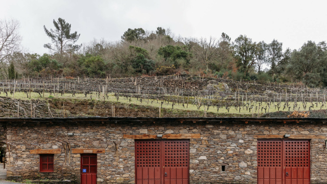 FINCA MÍLLARA BODEGAS Y VIÑEDOS 